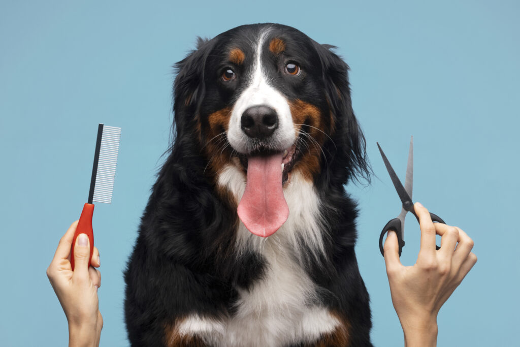 Reduce Shedding In Dogs?